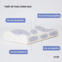 Gối cao su non chống đau mỏi cổ vai gáy, ruột gối ngủ công thái học Memory Foam người lớn cao cấp