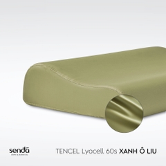 Vỏ gối cao su non - memory foam Lụa Tencel trơn màu 3