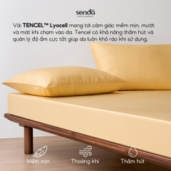 Bộ ga gối 3 món Lụa Tencel trơn màu