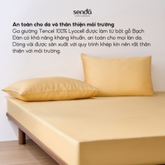 Bộ ga gối 3 món Lụa Tencel trơn màu