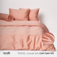 Bộ 5 món chăn ga gối Lụa Tencel trơn màu 3