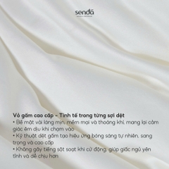 Ruột chăn Mây 220x200 bông Microfiber