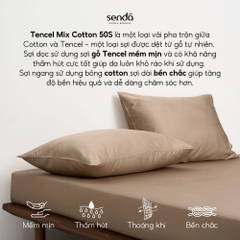 Bộ ga gối 3 món Tencel Cotton trơn màu