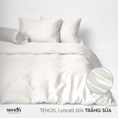 Bộ 5 món chăn ga gối Lụa Tencel trơn màu 2