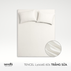 Bộ ga gối 3 món Lụa Tencel trơn màu