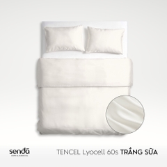 Bộ chăn gối 3 món Lụa Tencel trơn màu 2