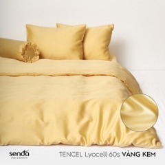 Bộ 5 món chăn ga gối Lụa Tencel trơn màu 3