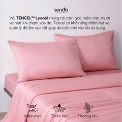 Vỏ chăn bông Lụa Tencel trơn màu 1
