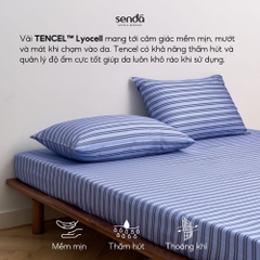 Bộ ga gối 3 món Lụa Tencel  họa tiết kẻ sọc - Sọc xanh navy