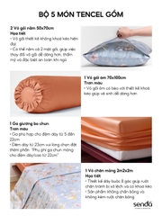 Bộ chăn ga gối 5 món Lụa Tencel 60S họa tiết - Bông xám
