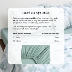 Bộ chăn ga gối 4 món (chăn chần bông) Tencel Cotton họa tiết - Lam sương