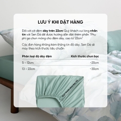 Bộ chăn ga gối 5 món Tencel Cotton họa tiết - Lam sương