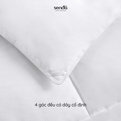 Ruột chăn bông Microfiber cao cấp mỏng nhẹ ấm áp