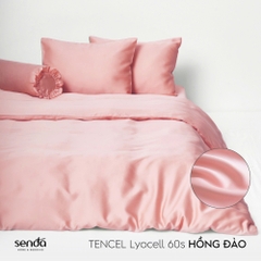 Bộ 5 món chăn ga gối Lụa Tencel trơn màu 5