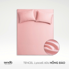 Bộ ga gối 3 món Lụa Tencel trơn màu