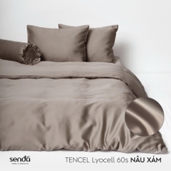 Bộ 5 món chăn ga gối Lụa Tencel trơn màu 3