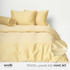 Bộ 5 món chăn ga gối Lụa Tencel trơn màu 3