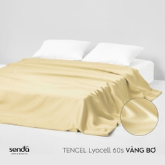 Vỏ chăn mỏng Lụa Tencel trơn màu 2