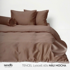 Bộ 5 món chăn ga gối Lụa Tencel trơn màu 3