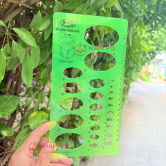 WinQ Thước Vẽ Hình Ellipse E606 (10 Cây/ Hộp; 5 Hộp/ Lốc)