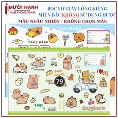 Bìa Bao Tập Kiếng Con Nai Màu và Hình (10 Tờ Cùng Loại/Bịch)