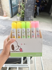 Bút Xoá Nước Nhiều Mẫu Dễ Thương 1069, 1070, 1073, 1075, 1076 (24 Cái/Hộp, 36 Hộp/Thùng)