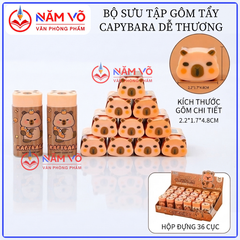 Gôm Cappy 6815 (24 Cái/Hộp, 48 Hộp/Thùng)