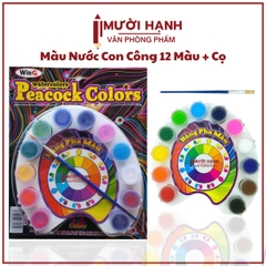 Win Q Màu Nước Con Công W02 - 12 Màu (40 Vĩ/ Thùng)