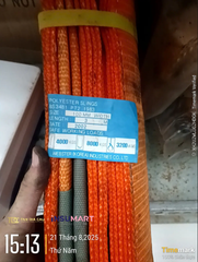 Cáp Vải Dẹt 2 Đầu Mắt (Web Sling Eye To Eye) Webster (Korea) Industries, Bản Rộng 100mm, Tải Trọng 3.2 Tấn, Dài 3m