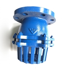 Van Hút (Rọ Bơm, Luppe) Mặt Bích DGV DG1111, DN50 Đến DN300, 60mm Đến 324mm, Xanh Dương