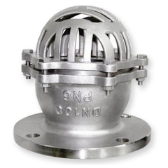 Van Hút (Rọ Bơm, Luppe) Ren Inox 304 DGV DG1121, DN15 Đến DN50, 21mm Đến 60mm, Bạc