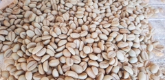 Hạt giống cà phê xanh lùn