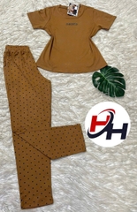 Bộ cotton mịn trung niên cao cấp