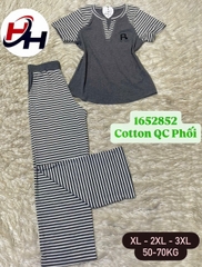 bộ cotyon quảng châu phối sọc
