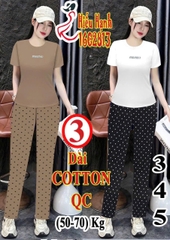 Bộ cotton mịn trung niên cao cấp