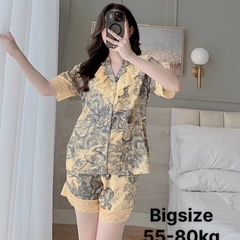 Bộ đùi lụa xước phối bèo tiểu thư Nữ Top Sen Kem