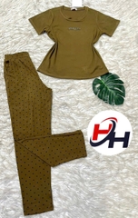 Bộ cotton mịn trung niên cao cấp