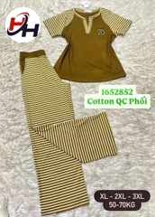 bộ cotyon quảng châu phối sọc