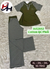 bộ cotyon quảng châu phối sọc