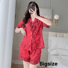 Bộ đùi lụa xước phối bèo tiểu thư Nữ Top Sen Kem