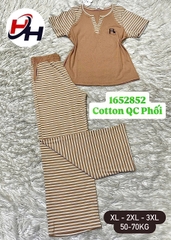 bộ cotyon quảng châu phối sọc