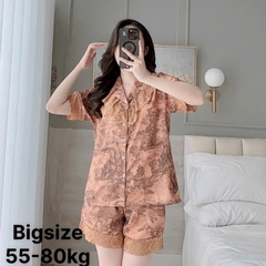 Bộ đùi lụa xước phối bèo tiểu thư Nữ Top Sen Kem