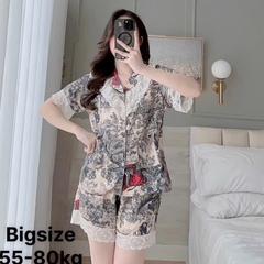Bộ đùi lụa xước phối bèo tiểu thư Nữ Top Sen Kem