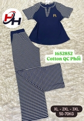 bộ cotyon quảng châu phối sọc