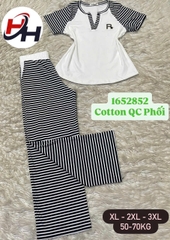 bộ cotyon quảng châu phối sọc