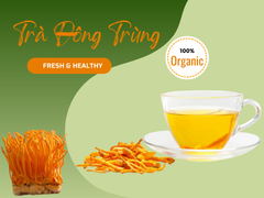 Trà Túi lọc Đông Trùng Nguyên Thảo