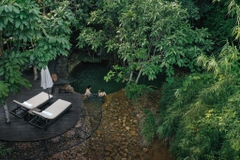 Khu nghỉ dưỡng Avana Retreat