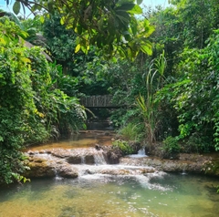 Khu nghỉ dưỡng Avana Retreat