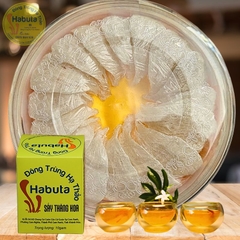 Combo 100g Yến Tinh -Nguyên Sợi VIP 1 và 10g Đông Trùng Hạ Thảo Sấy Thăng Hoa