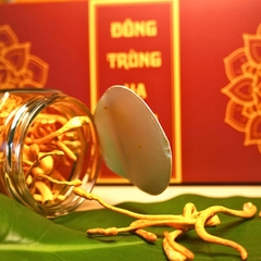 Đông Trùng Hạ Thảo Sấy Thăng Hoa Cao Cấp - 20g